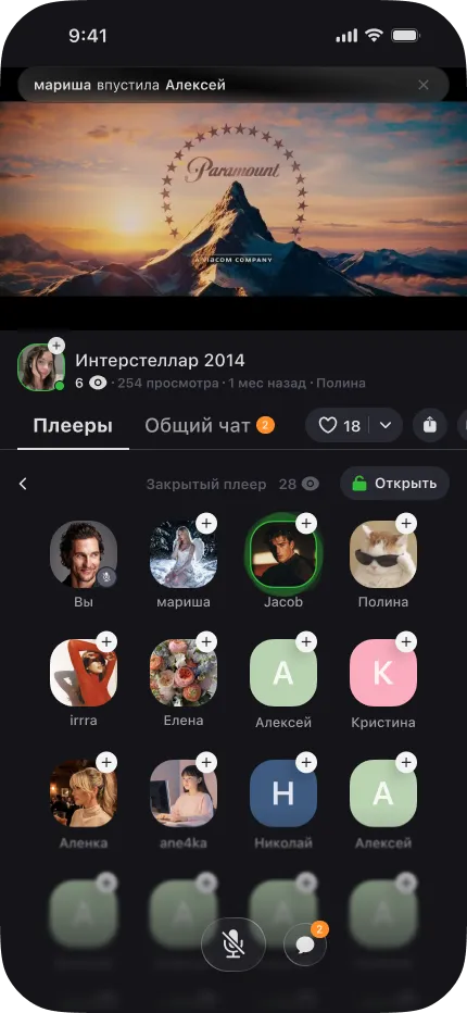Закрытый плеер Fliji: участники просмотра, микрофон и чат